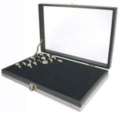 Ring Security Case